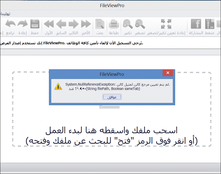 fileviewpro license key